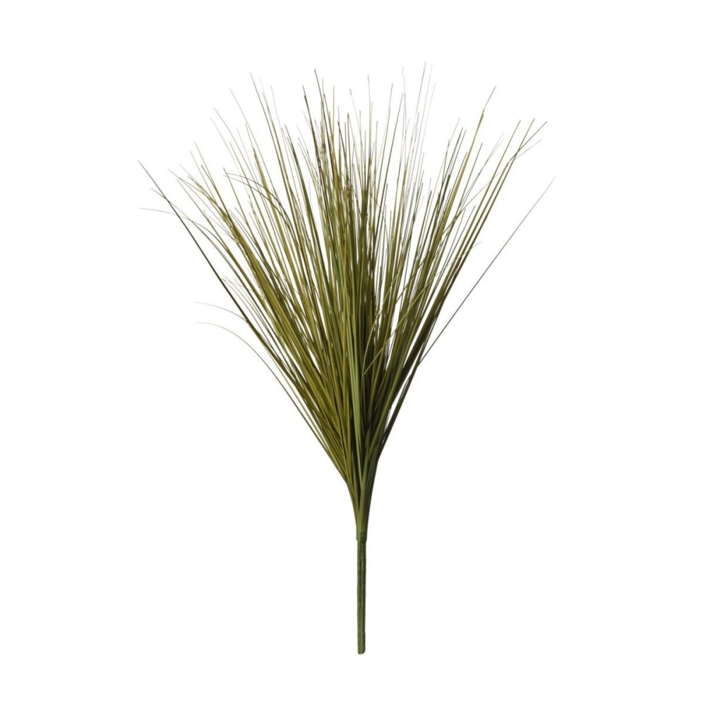 MAZZO ERBA CIPOLLINA CM65